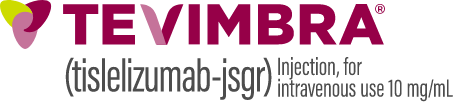 TEVIMBRA® (tislelizumab-jsgr) logo